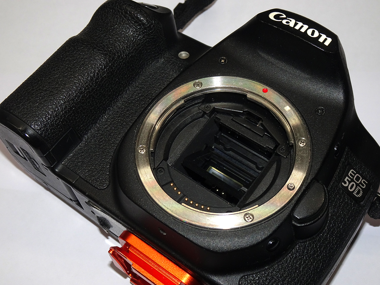 50D